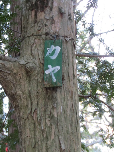 w004456yahiko4-2