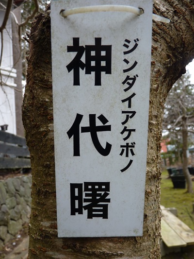 w004456yahiko41