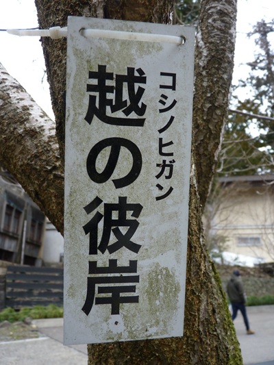 w004456yahiko43