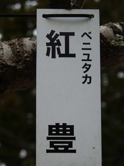 w004456yahiko47