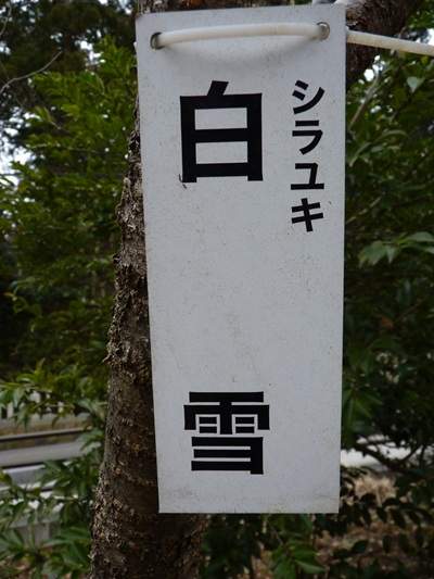 w004456yahiko48