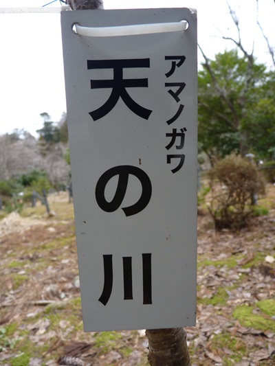 w004456yahiko50