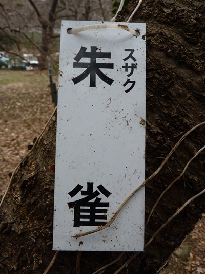 w004456yahiko52