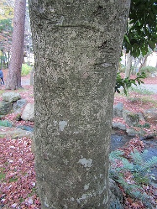 w004456yahiko6-2