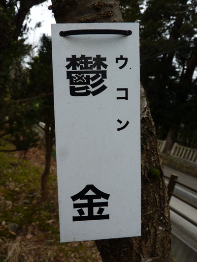 w004456yahiko62
