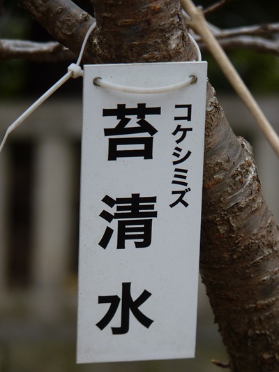 w004456yahiko65