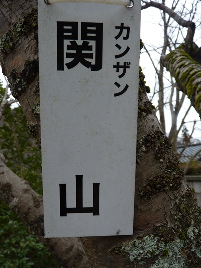 w004456yahiko66