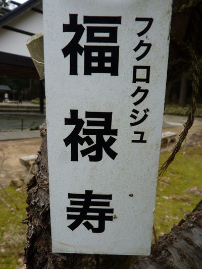 w004456yahiko74