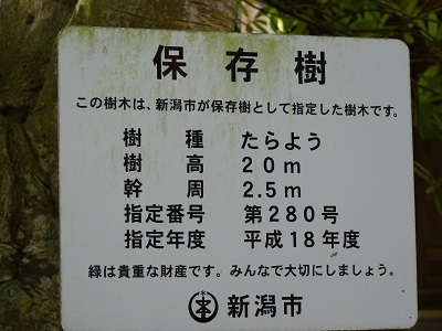 w004459nika-1