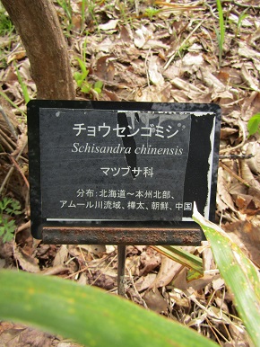 w004460kanadu180-3