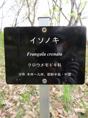 w004460kanadu206-1