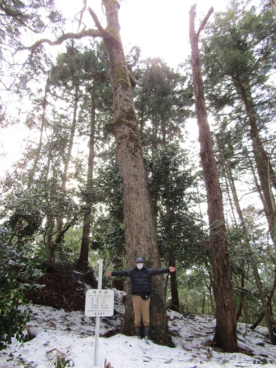w004460tai