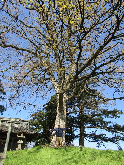 w004468sannou