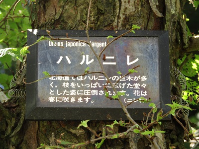 w004470kaminakayama1-2
