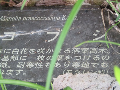 w004470kaminakayama7-2