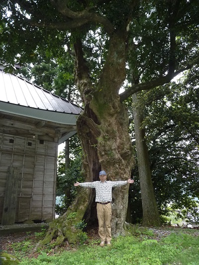 w004472nakanokuti