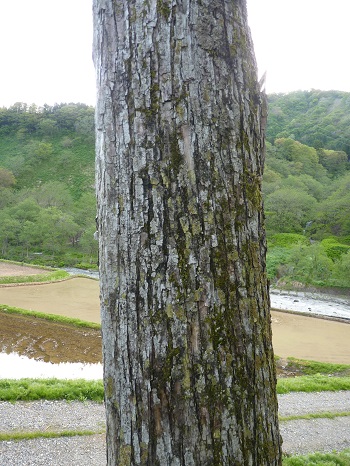 w004474higasihiyama-2