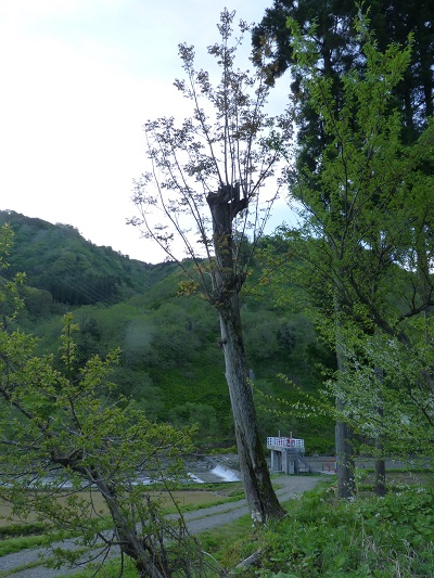 w004474higasihiyama