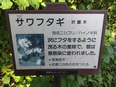w004476oosirakawa11-2