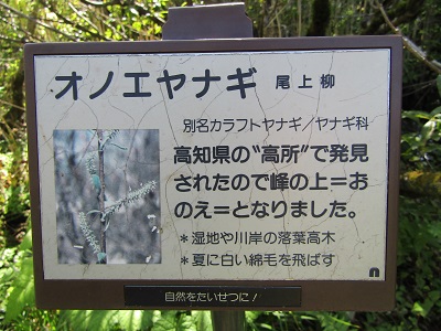 w004476oosirakawa12-2