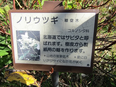 w004476oosirakawa14-2