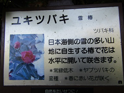 w004476oosirakawa15-1