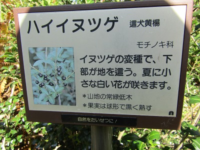 w004476oosirakawa16-1