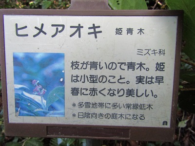 w004476oosirakawa17-1