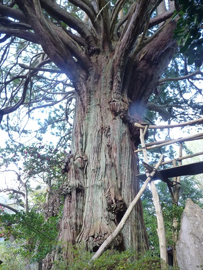 w004484nagatani