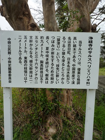 w004486nakaoki3-2