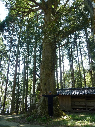 w004488hamatokuwa