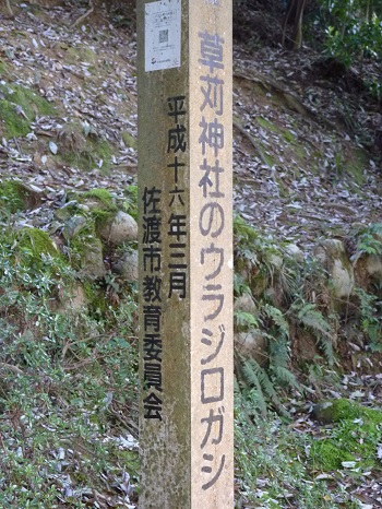 w004488hamotihongou1-1