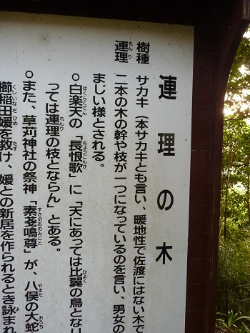 w004488hamotihongou2-1
