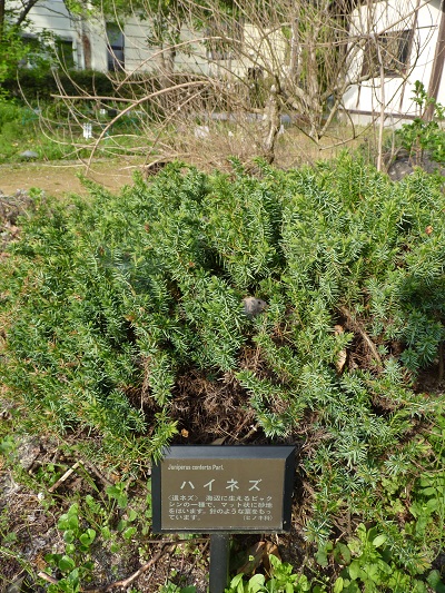 w004488hamotiiioka16