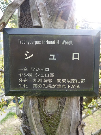 w004488hamotiiioka18-2
