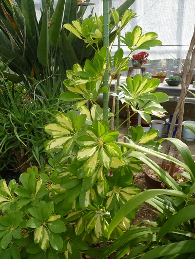 w004488hamotiiioka21