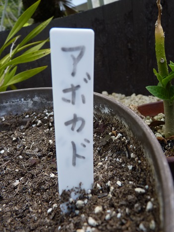 w004488hamotiiioka23-1