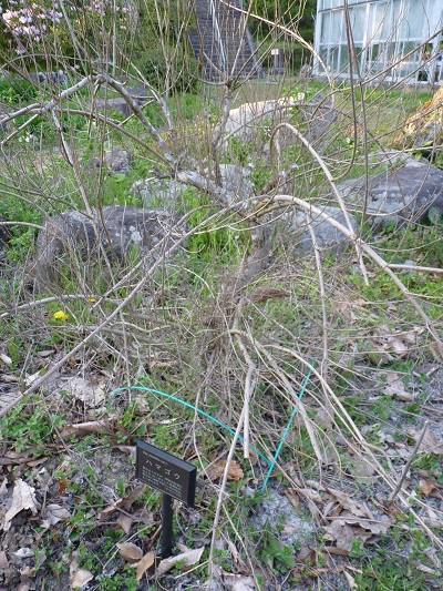 w004488hamotiiioka4