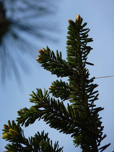 w004488hamotiiioka5