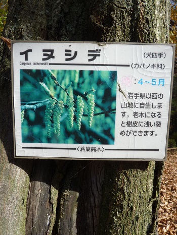 w004494nagata10-3