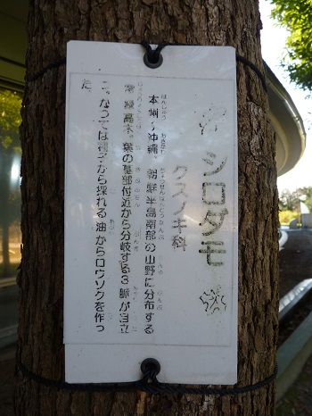 w004494nagata11-3