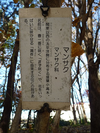 w004494nagata2-2