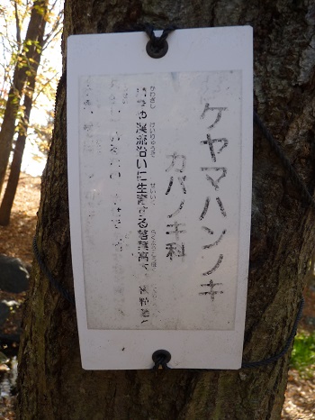 w004494nagata7-3