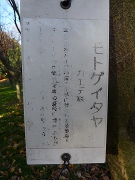 w004494nagata9-3