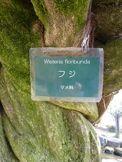 w004495oomagari9